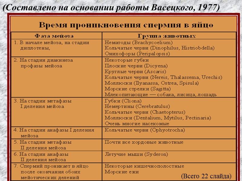 (Составлено на основании работы Васецкого, 1977) (Всего 22 слайда)